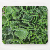 サボテン マウスパッド (正面)