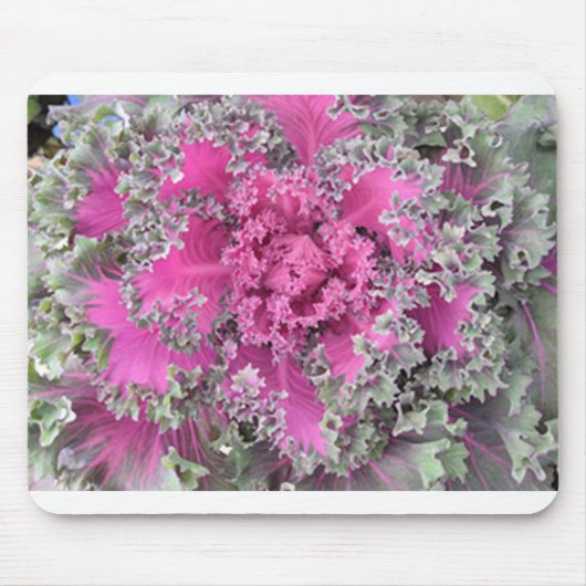 サボテン マウスパッド (正面)