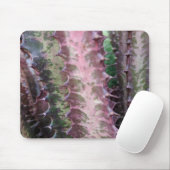 サボテン マウスパッド (マウス)