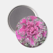 サボテン マグネット (正面/裏面)