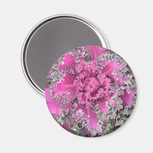 サボテン マグネット (正面/裏面)