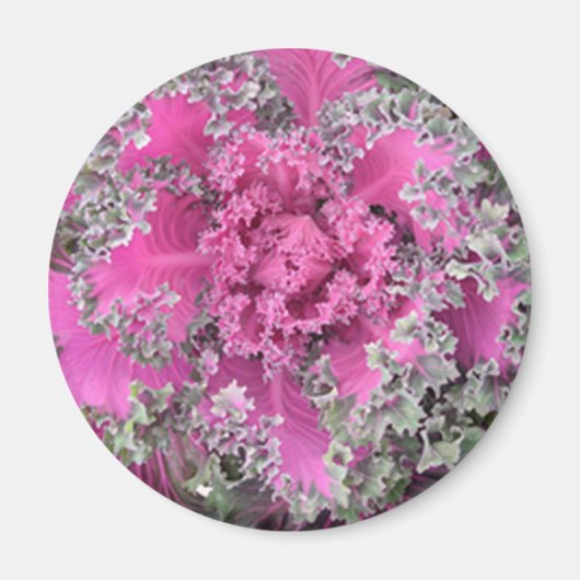 サボテン マグネット (正面)