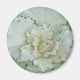 サボテン マグネット