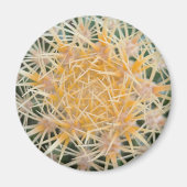 サボテン マグネット (正面)