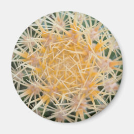 サボテン マグネット