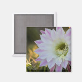 サボテン マグネット (正面/裏面)