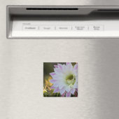 サボテン マグネット (インサイチュ (食洗機))