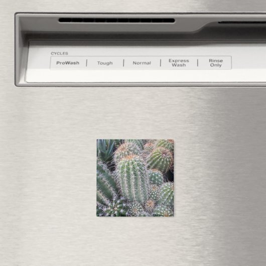 サボテン マグネット (インサイチュ (食洗機))