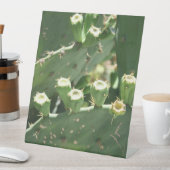 サボテン 台座サイン (インサイチュ)