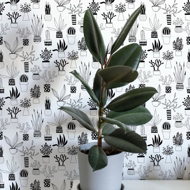 サボテン 多肉植物 ブラックアンドホワイト アート 壁紙 (Cactus cacti succulent house plant black and white art wallpaper)