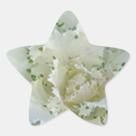 サボテン 星シール