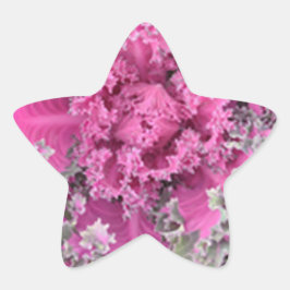 サボテン 星シール