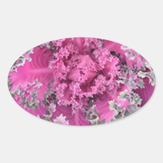 サボテン 楕円形シール (正面)