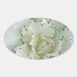 サボテン 楕円形シール