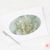 サボテン 楕円形シール (封筒)