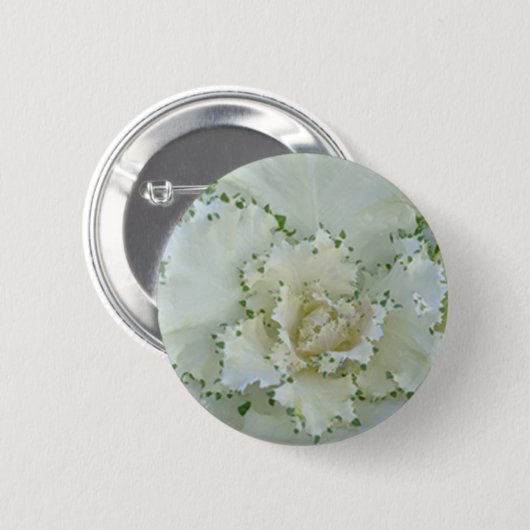 サボテン 缶バッジ (正面&裏面)