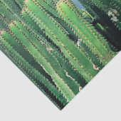 サボテン 薄葉紙 (詳細)