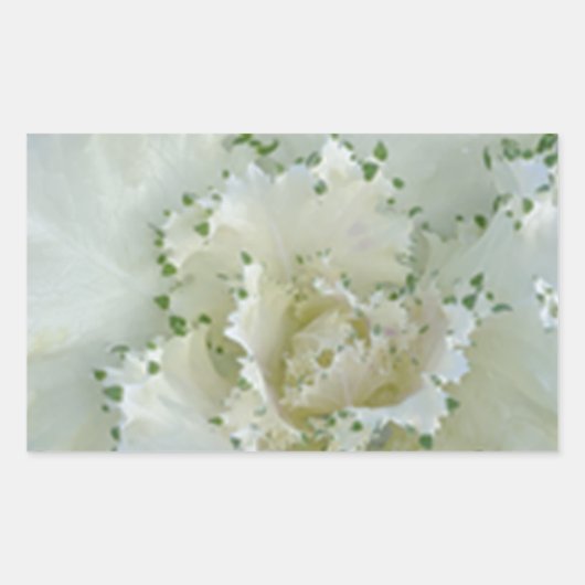 サボテン 長方形シール (正面)