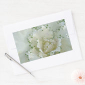 サボテン 長方形シール (封筒)