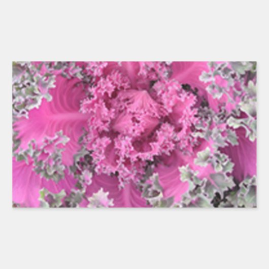 サボテン 長方形シール (正面)