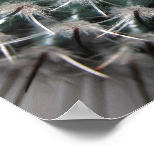 サボテン(3) ポスター (角)