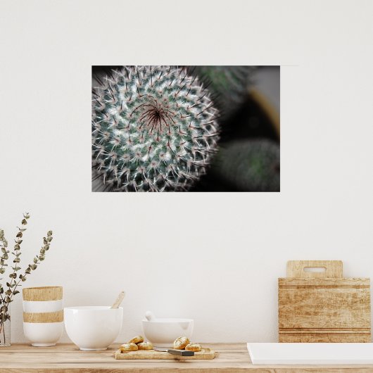 サボテン(3) ポスター (キッチン)