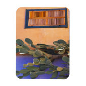 サボテン (Opuntia dejecta) と マグネット (縦)