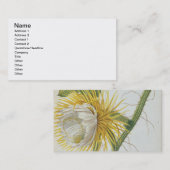 サボテン: Trewの「Plantae Selectae」175からのCereus、 名刺 (正面/裏面)