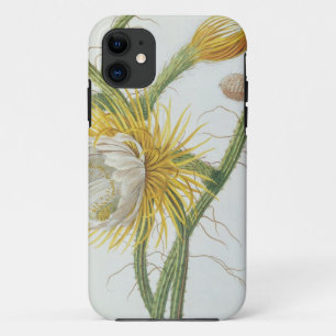 サボテン: Trewの「Plantae Selectae」175からのCereus、 iPhone 11 ケース