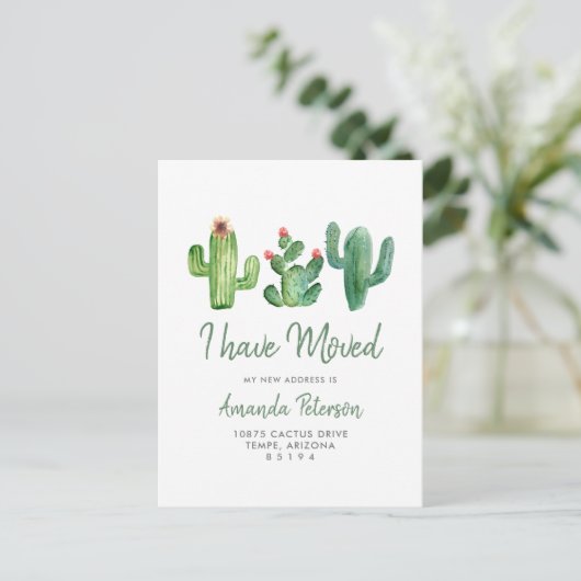 サボテンIは移動発表の郵便はがきを動かしました 案内ポストカード (スタンド正面)