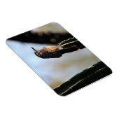 サボテンWrenフォトマグネット マグネット (右側)