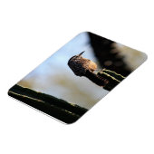 サボテンWrenフォトマグネット マグネット (左側)