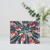 サボ熱狂するックス葉書 ポストカード (スタンド正面)