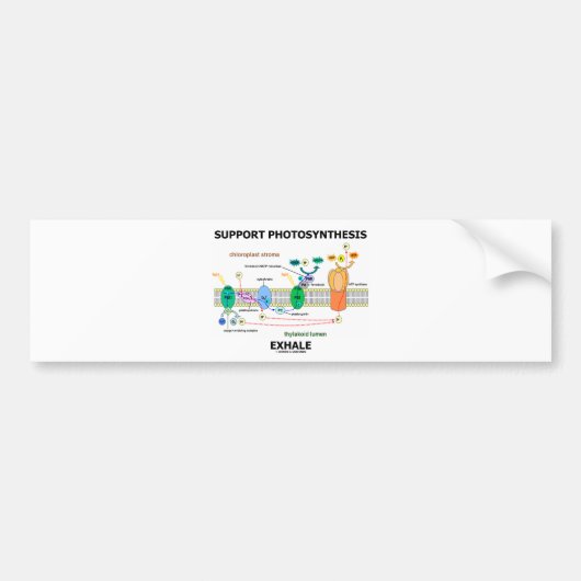 サポート光合性は吐き出します(生物化学のユーモア) バンパーステッカー (正面)