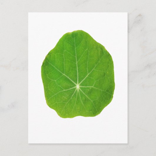 サポート緑は、惑星を救います ポストカード (正面)