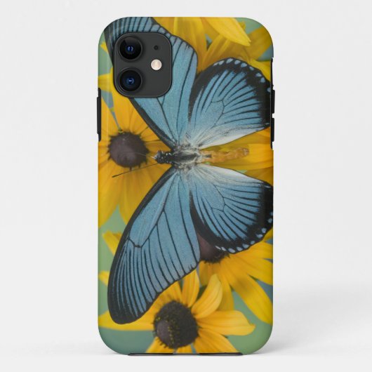 サマミッシュ ワシントン州 チョウの写真 Case-Mate iPhoneケース (裏面)