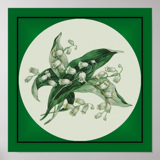 サマンサリリー1 ポスター (正面)