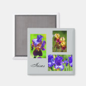 サマーアイリス磁石 マグネット (正面/裏面)