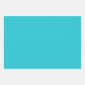 サマーアクアブルーフレッシュビーチヴィベ ラッピングペーパーシート (正面3)