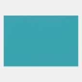 サマーアクアブルーフレッシュビーチヴィベ ラッピングペーパーシート (正面2)