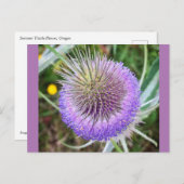 サマーアザラシの花 ポストカード (正面/裏面)