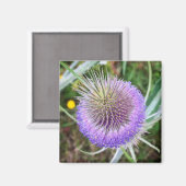 サマーアザラシの花 マグネット (正面/裏面)