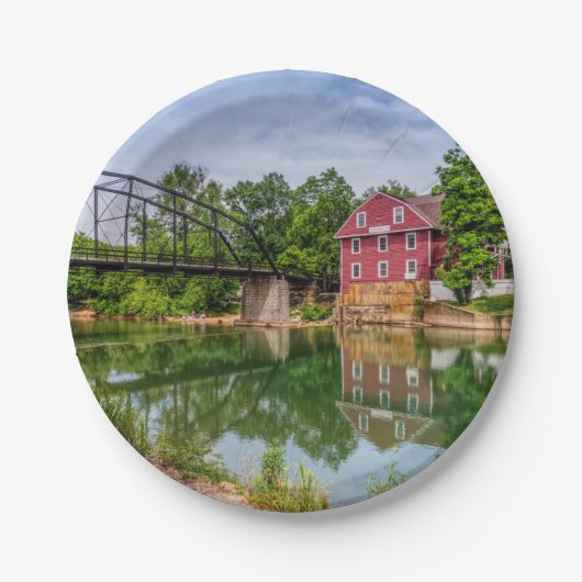 サマーアットウォーイーグル紙プレート ペーパープレート (正面)