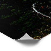 サマーアット山レイニア ポスター (角)