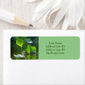 サマーエレガントスワン ラベル (インサイチュ)