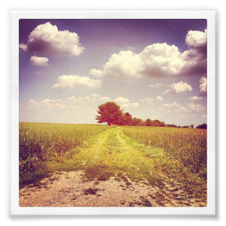 サマーオフロード フォトプリント           