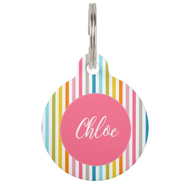 サマーカラフルレインボーストライプズ ペット　ネームタグ (正面)