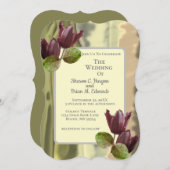 サマーガーデンの花々 チューリップ グリーン ウェディング (正面/裏面)