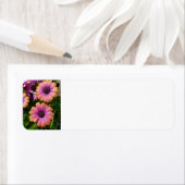 サマーガーデン住所 シール (インサイチュ)