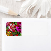 サマーガーデン住所 シール (インサイチュ)